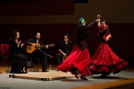 Solero Flamenco